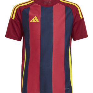 Koszulka adidas Junior Striped 24 IW2139 Rozmiar 128