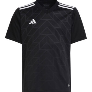 Koszulka adidas Junior Team Icon 23 HS0541 Rozmiar 164