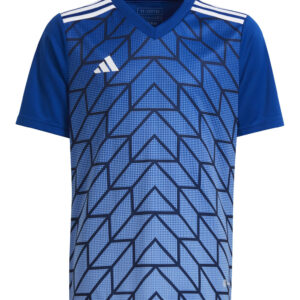 Koszulka adidas Junior Team Icon 23 HR2654 Rozmiar 140