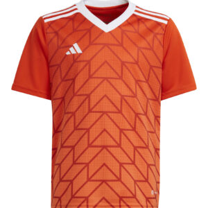 Koszulka adidas Junior Team Icon 23 IC1254 Rozmiar 128