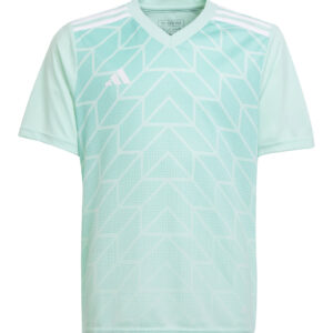 Koszulka adidas Junior Team Icon 23 IC1255 Rozmiar 164