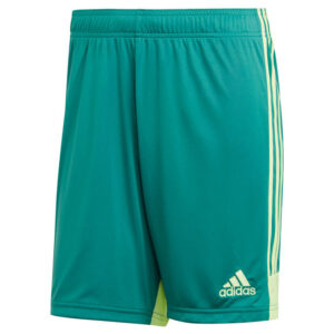 Spodenki adidas Tastigo 19 DP3251 Rozmiar L (183cm)