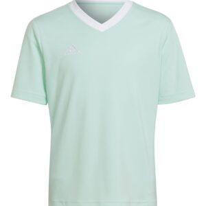 Koszulka adidas Junior Entrada 22 HC5078 Rozmiar 128