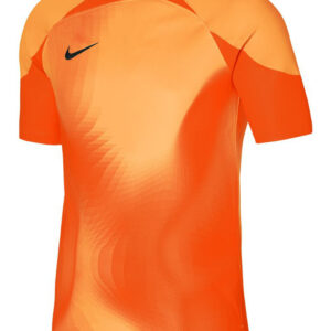 Koszulka bramkarska Nike Dri-FIT ADV Gardien 4 DH7760-819 Rozmiar M (178cm)