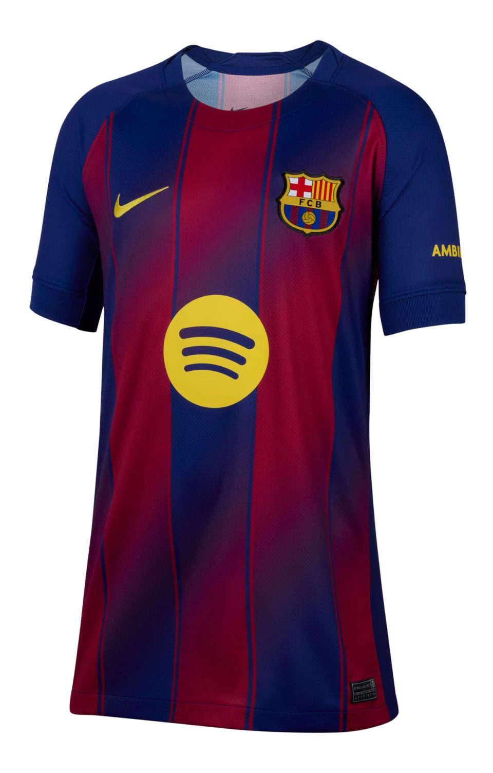 Koszulka Nike Junior FC Barcelona Stadium Home HJ5287-456