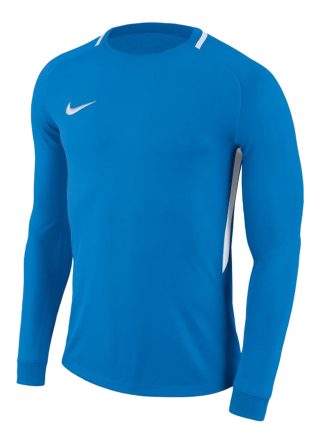 Bluza bramkarska Nike Junior Park Goalie III 894516-406
