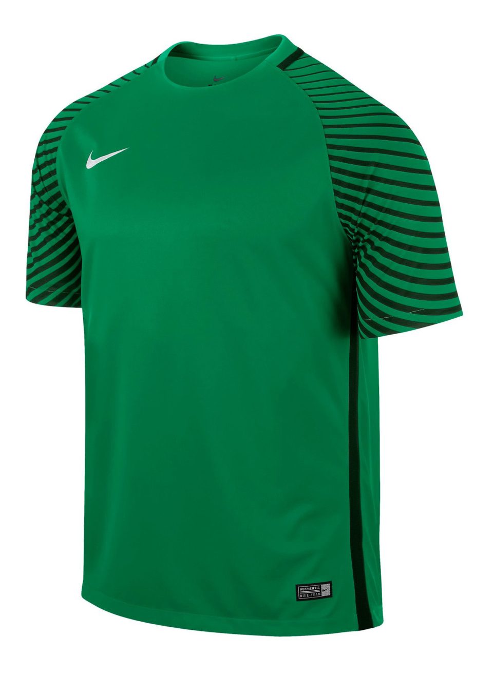 Koszulka bramkarska Nike Gardien 725889-319